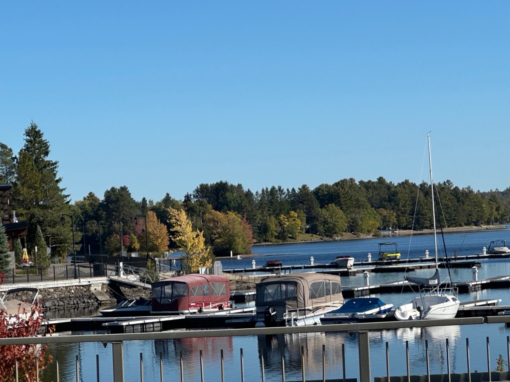 Disraeli harbour